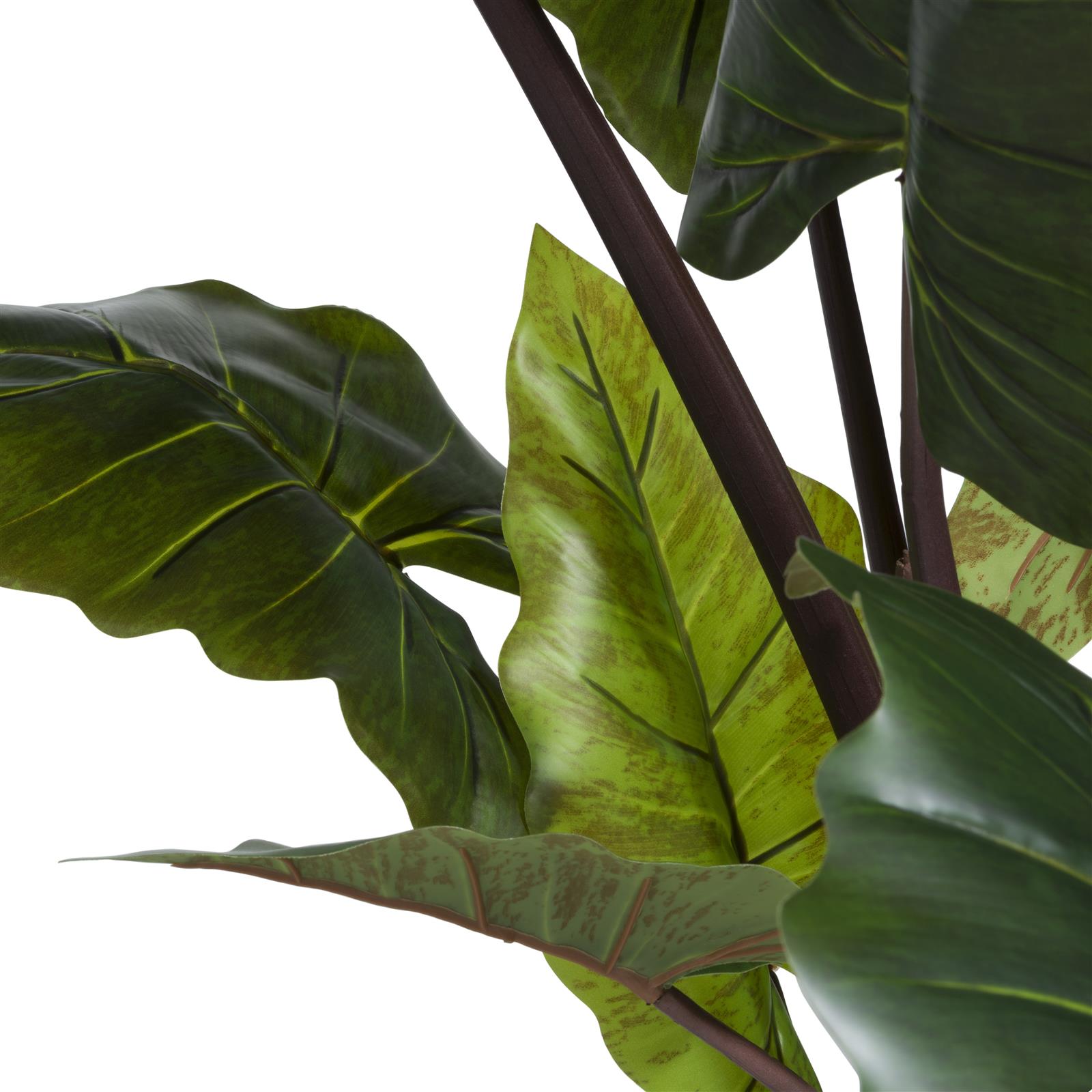 Coco Maison Kunstblume ca. B70 H130 T70 cm in Colocasia, grün