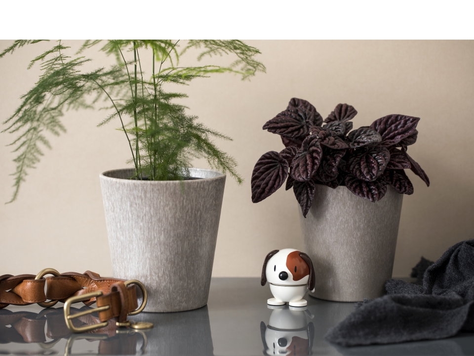 Hoptimist Hoptimist in Farbe white