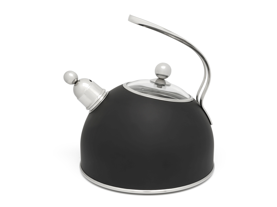 Bredemeijer Flötenkessel Universal 2,5 Liter in Farbe schwarz Bredemeijer Flötenkessel Universal 2,5 Liter in Farbe schwarz