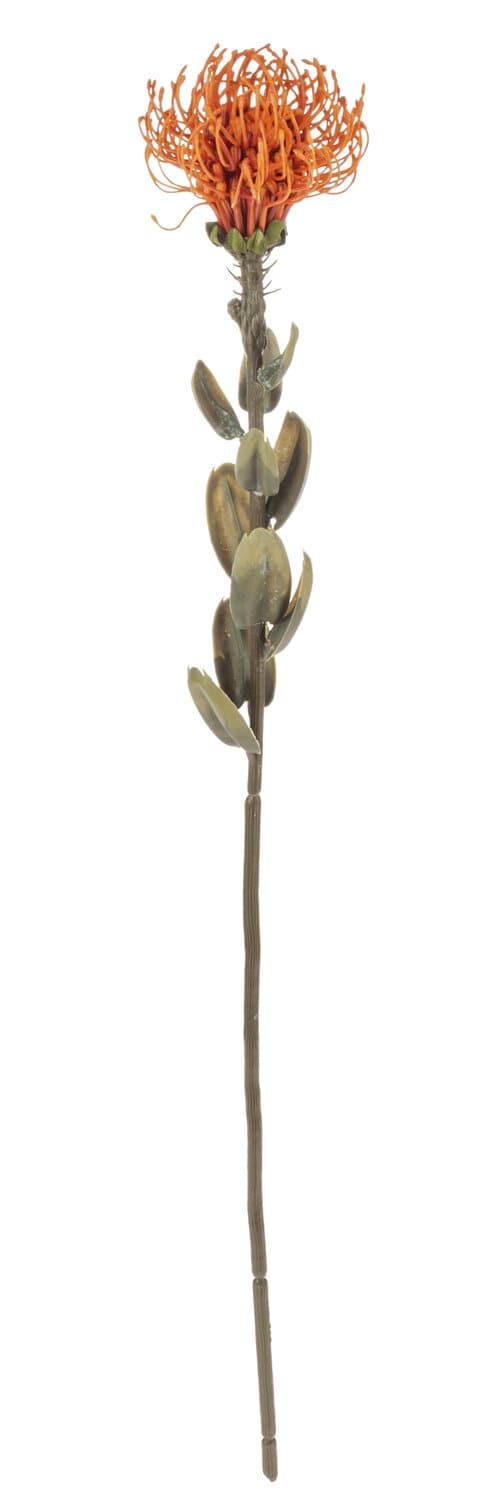  // Protea Vintage // orange // Höhe ca. 61 cm