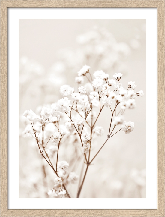 PRO ART Framed-Art Slim Scandic 43x33cm Dried fieber in the wind II PRO ART Framed-Art Slim Scandic 43x33cm Dried fieber in the wind II, Blume, Pflanze
