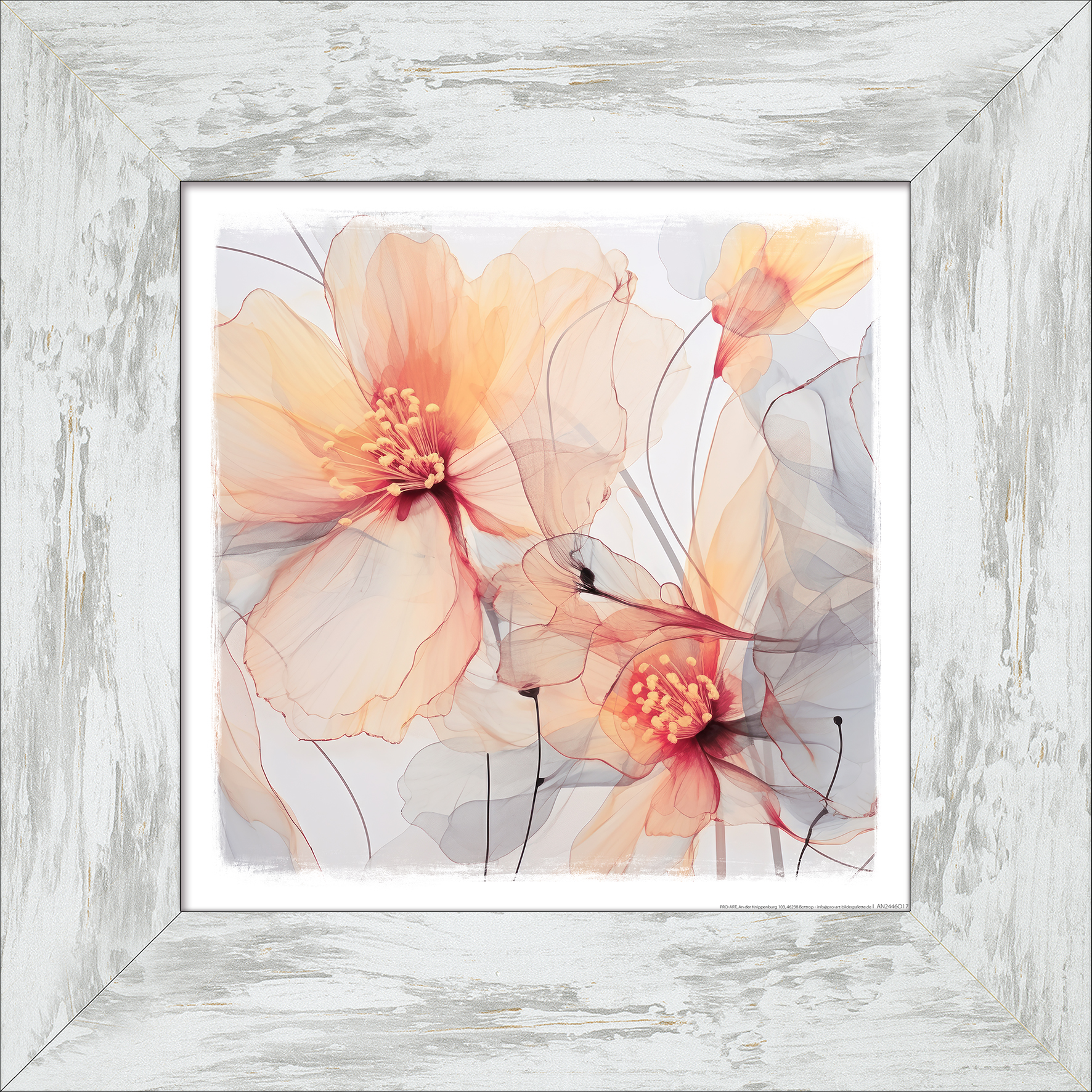 PRO ART New Classic Wood 44x44cm Transparent Flowers VI