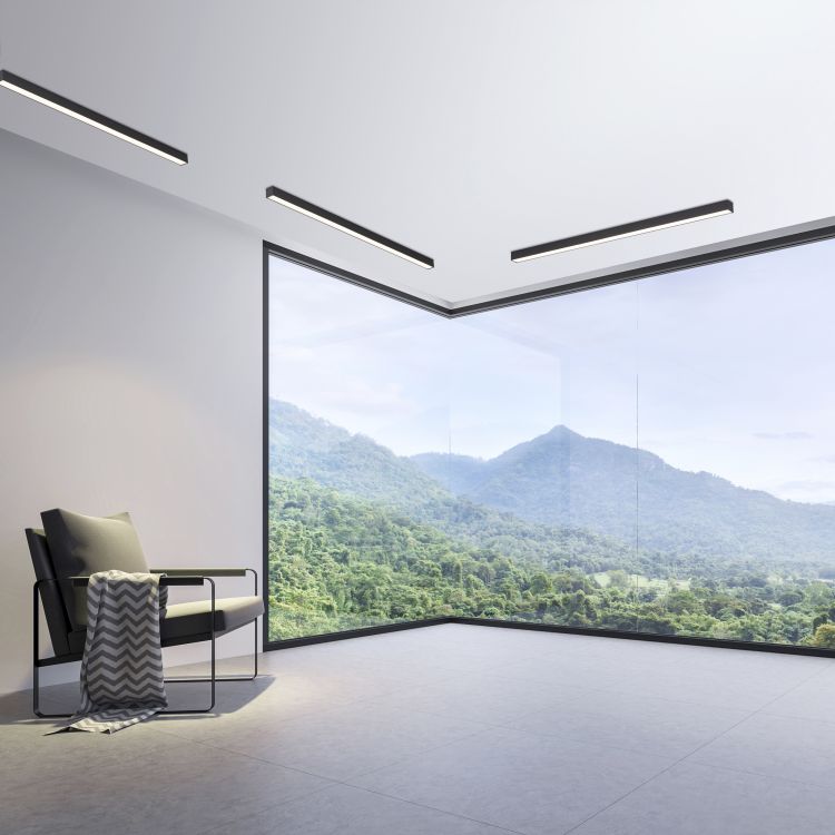 Paul Neuhaus LED-Deckenleuchte Pure-Lines in Anthrazit