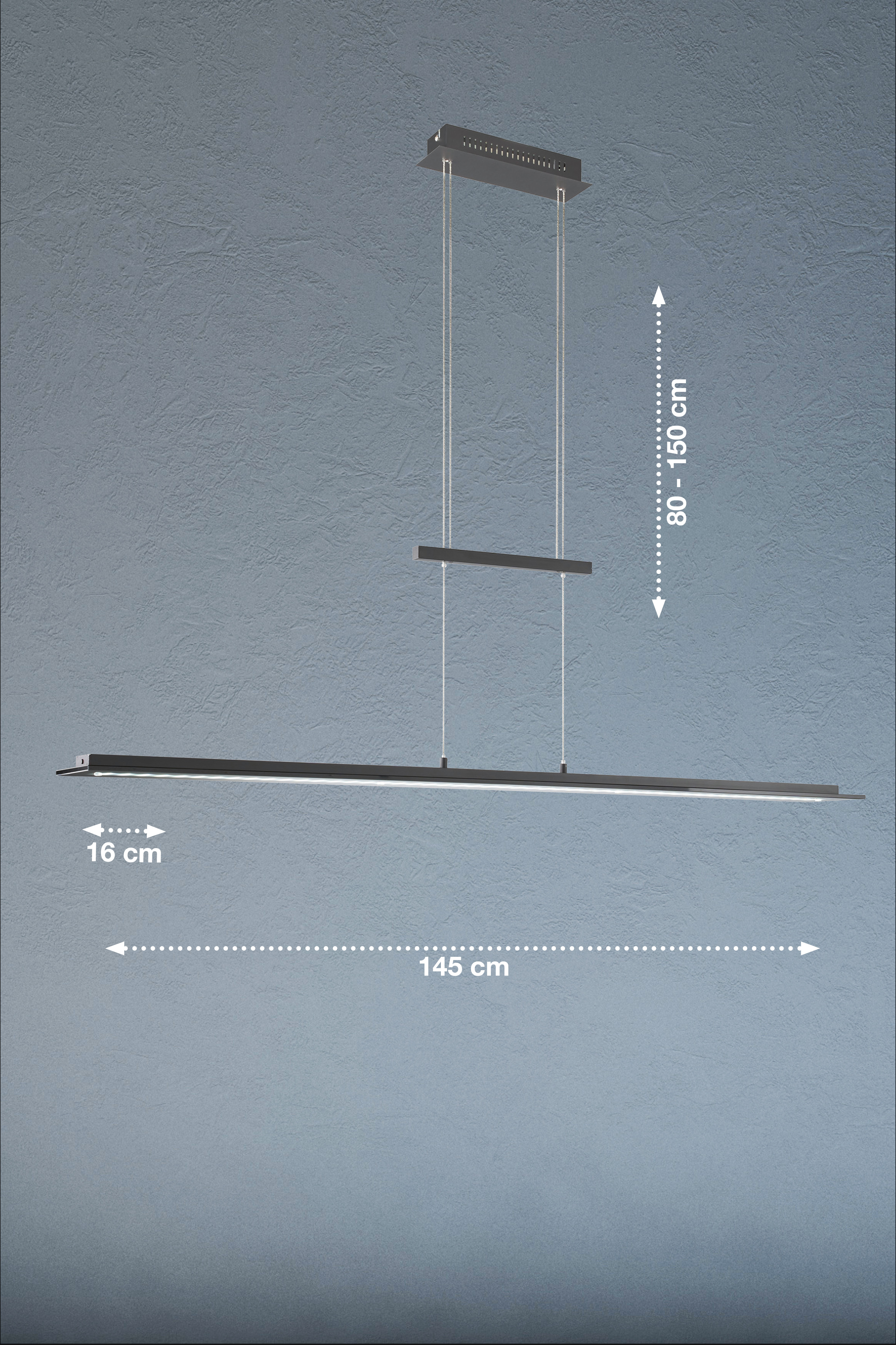 Fischer & Honsel LED-Pendelleuchte BILL 1-flammig in Farbe Metall sandschwarz/Glas rauchfarbig