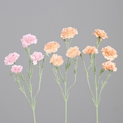 DPI Nelke in Farbe drei Farben sortiert