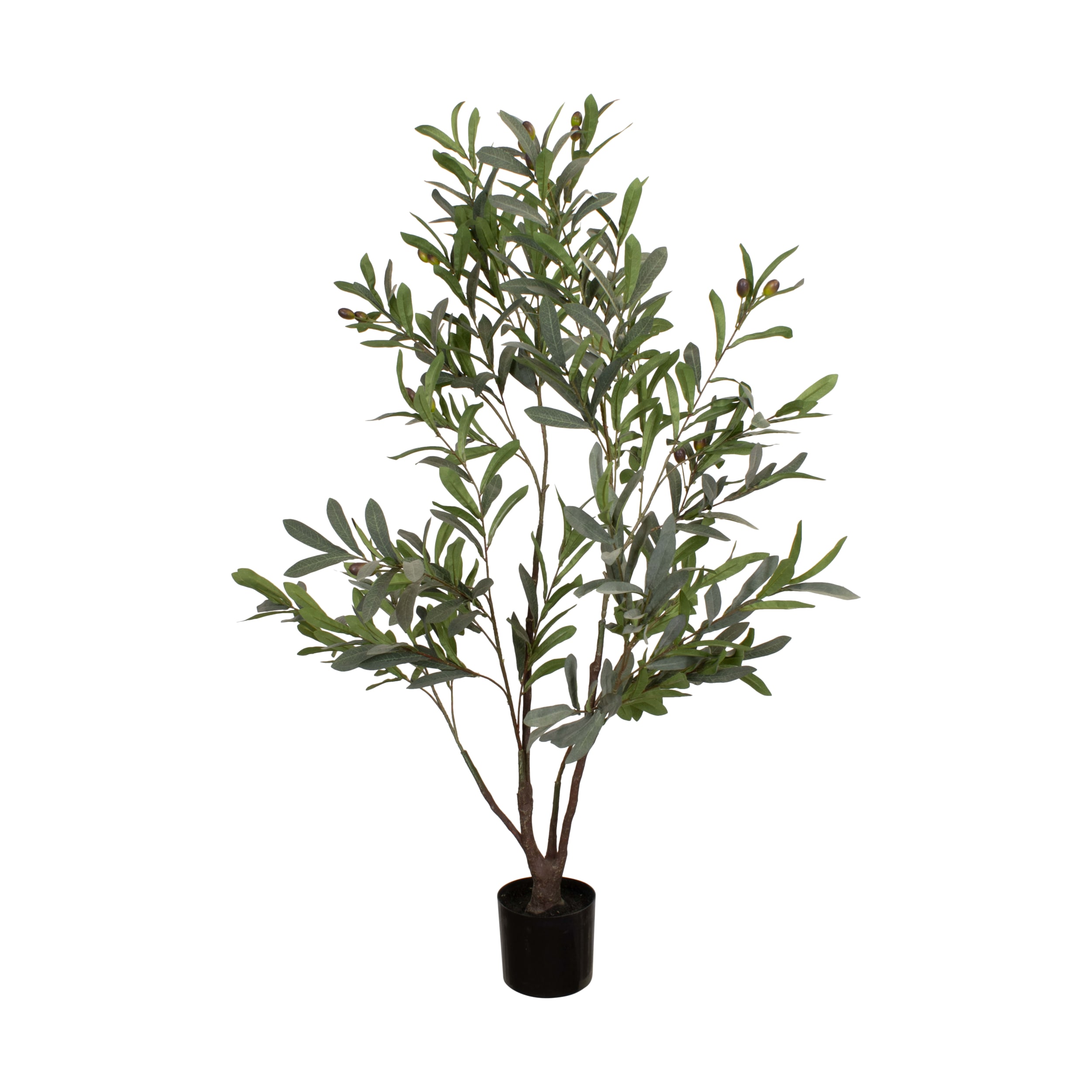 Dijk Natural Collections Pflanze in Farbe grün, Pflanze, Baum, Topfpflanze, Blatt, Blumen-Arrangement