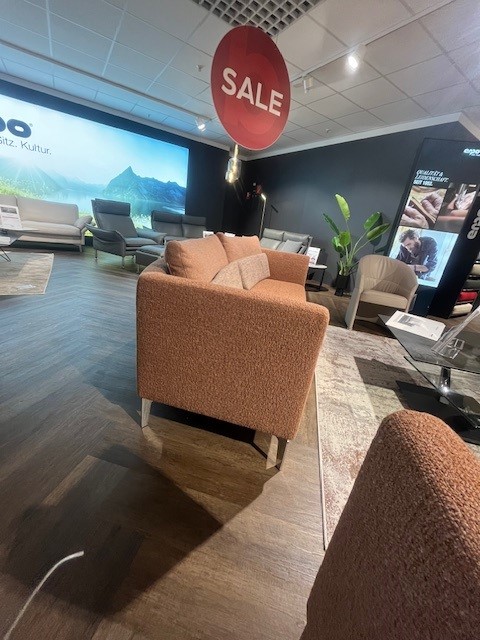 Polstergruppe, Drinnen, Pflanze, Mobiliar, Stuhl, Couch