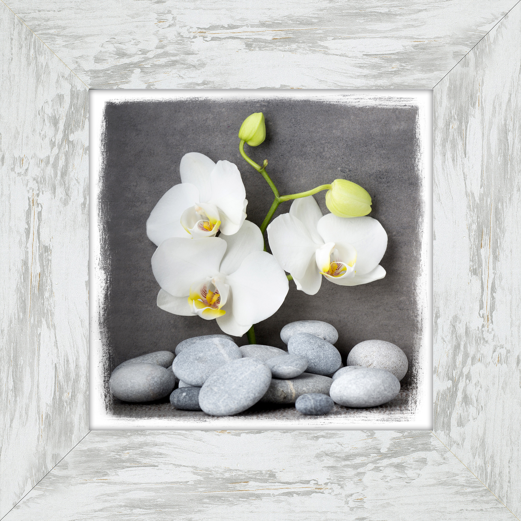 PRO ART New Classic Wood 44x44cm Wellness Slogan I