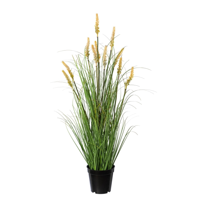 Gasper Pennisetum im Topf, 79 cm, in Farbe Grün, Gras, Topfpflanze, Kanalgras, Gräserpflanze, Künstliche Pflanze