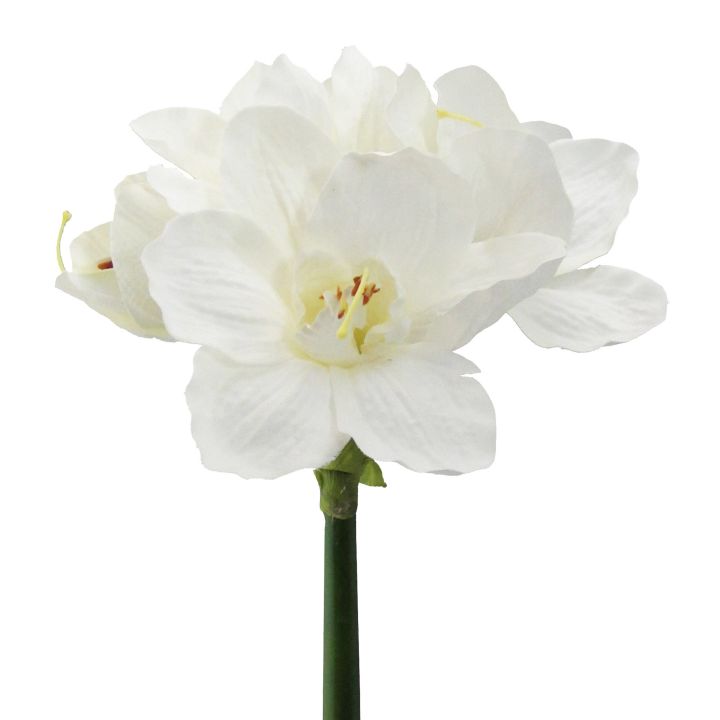 Amaryllis 66cm BRIZIO in Weiß, Weiße Blume, Narzisse?, Weiße Blüte, Blütenstiel, Blume