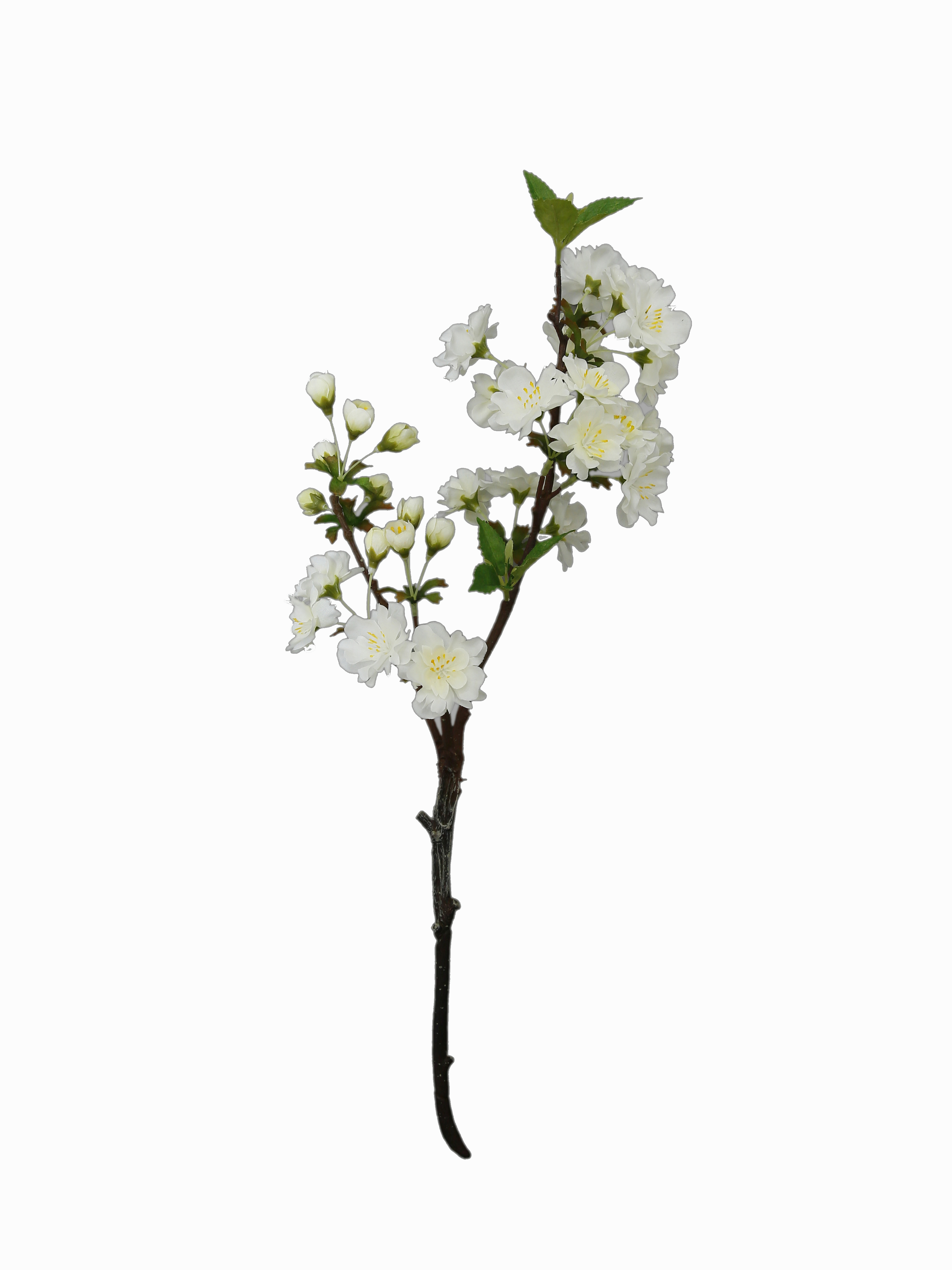 Flower Manufaktur Kirschblütenzweig ca. 48cm in Farbe Creme/Weiß