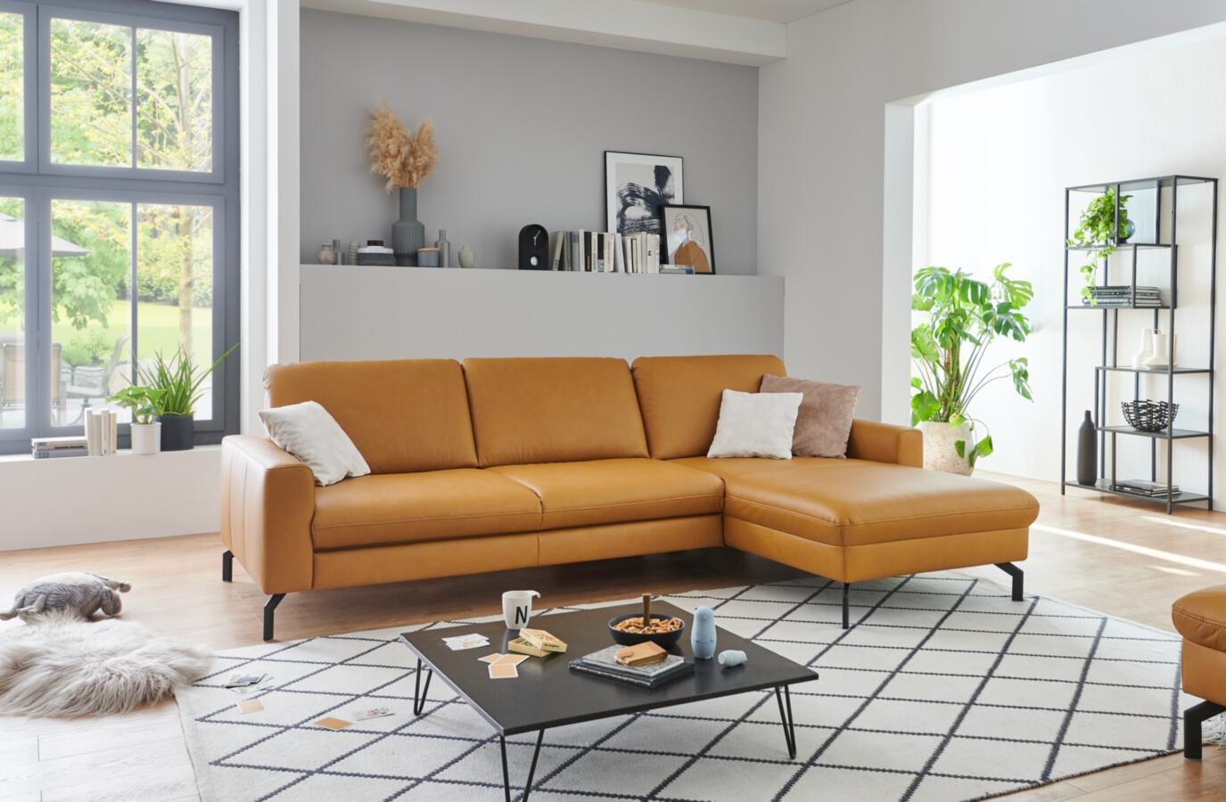 Modulmaster Polstereckgarnitur MM-PN1126 ca. 274x179cm in Leder Vivre kurkuma Modulmaster Polstereckgarnitur MM-PN1126 ca. 274x179cm in Leder Vivre kurkuma, Dekoration für Zuhause, Tabelle, Kaffeetisch, Couch, Wohnzimmer