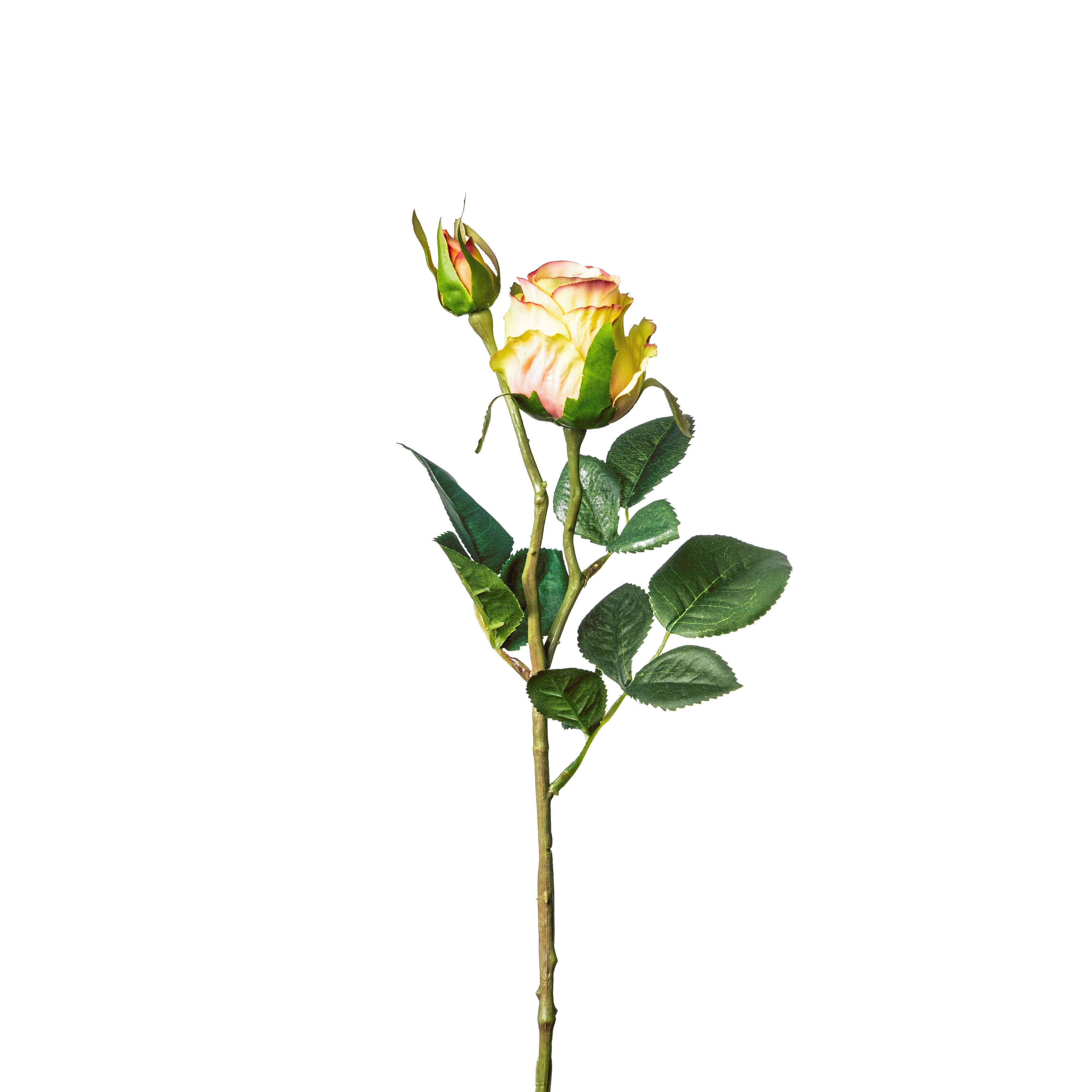 Flower Manufaktur Rose ca. 45cm in Farbe Creme/Aprikose