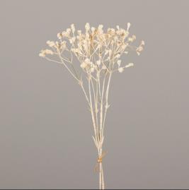DPI Wiesenkopf Bund 2x in 46cm Fb. cream