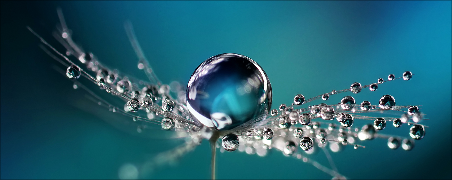 ProArt Glas-Art 80x30cm Drop On Water