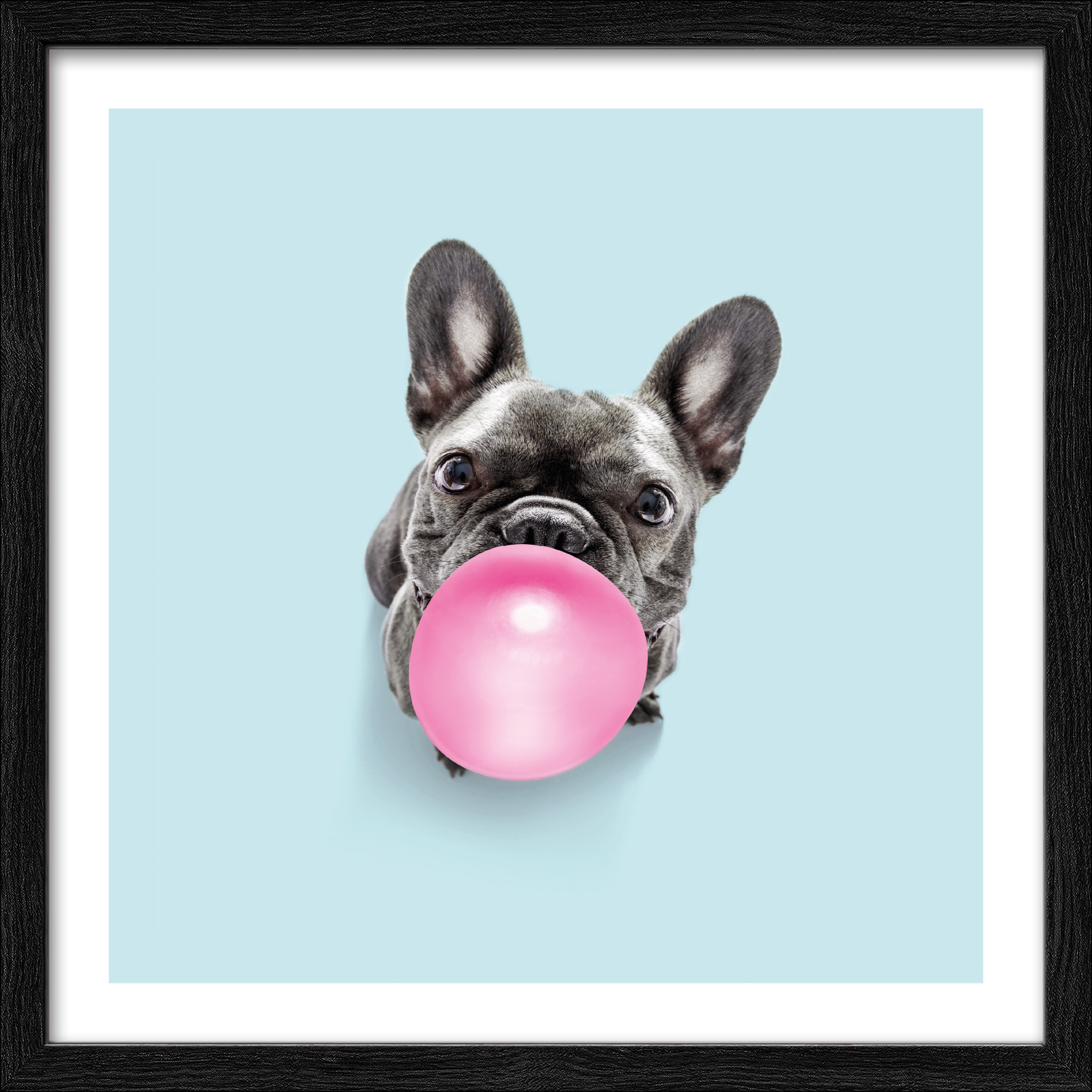 PRO ART Framed-Art Slim Scandic 33x33cm Dogs Chewing Gum II