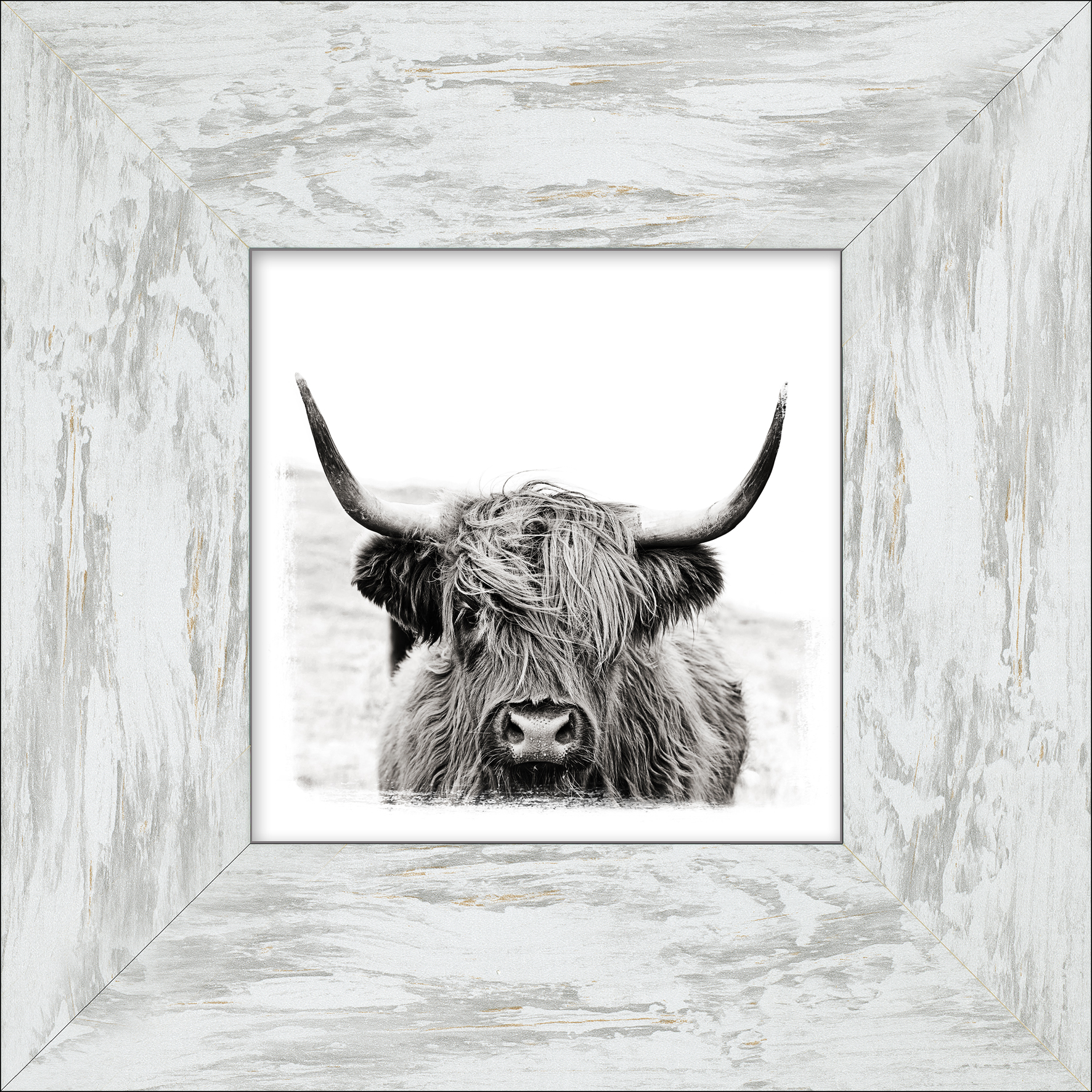 ProArt New Classic Wood 34x34cm Scottish Highland Cattle II