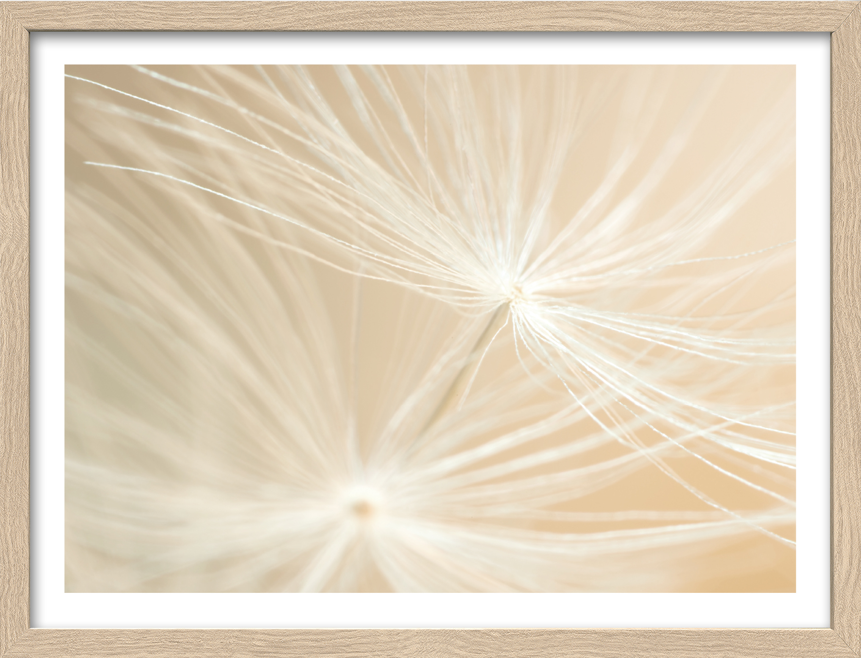 ProArt Framed-Art Slim Scandic 43x33cm Dandelion III