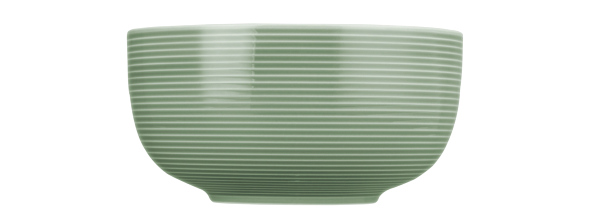 Seltmann Weiden Foodbowl 17,5cm Beat 3 Salbeigrün , Schüssel, Schale, Grün, Streifen, Porzellan