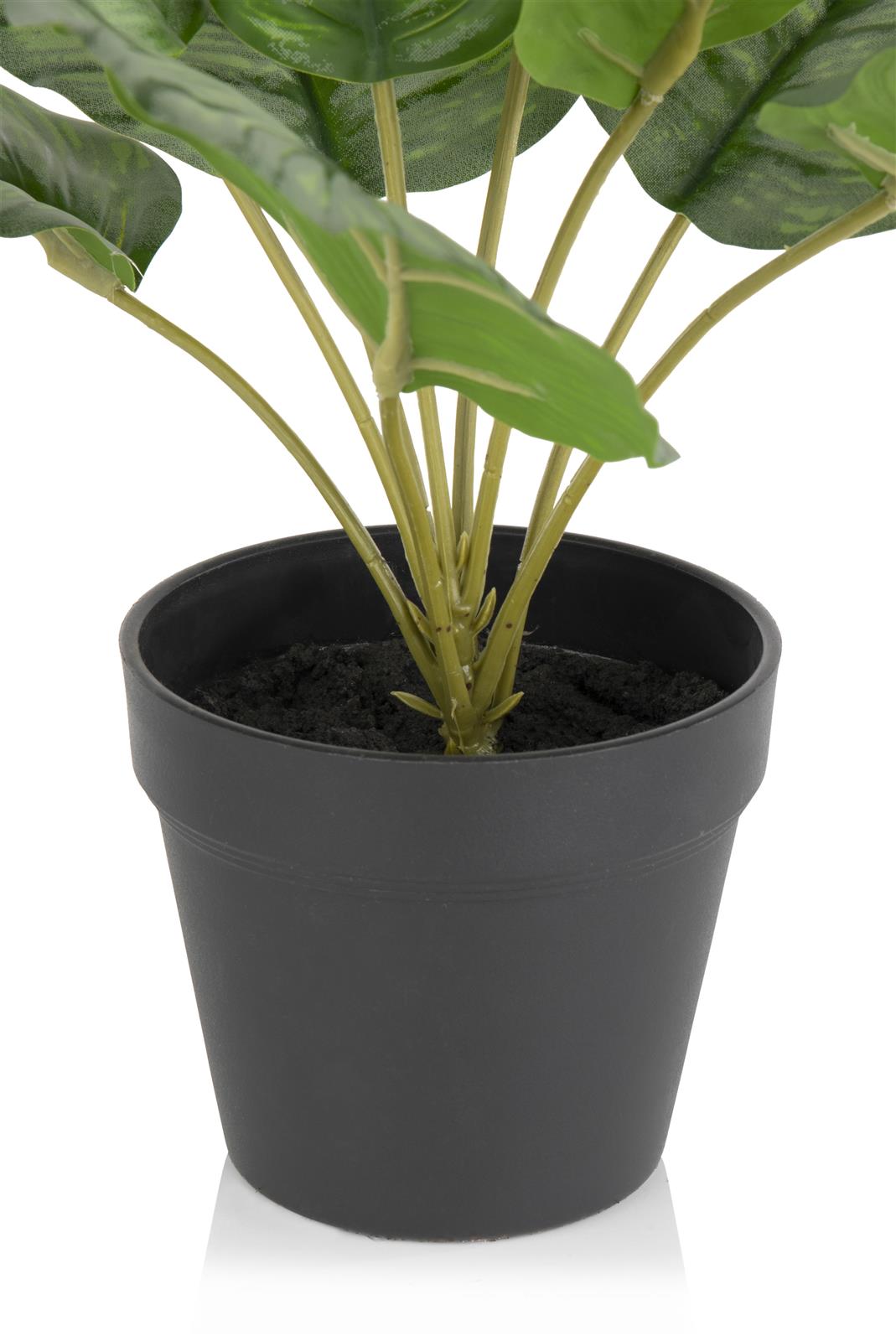 Coco Maison Kunstpflanze ca. H45 cm in Calathea Orbifolia
