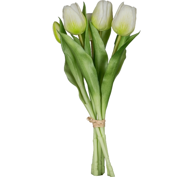 Tulpenbund x6 3025300-40 in Weiß, Tulpen, Tulpensträuße, Blumen, Stiel, Blüten