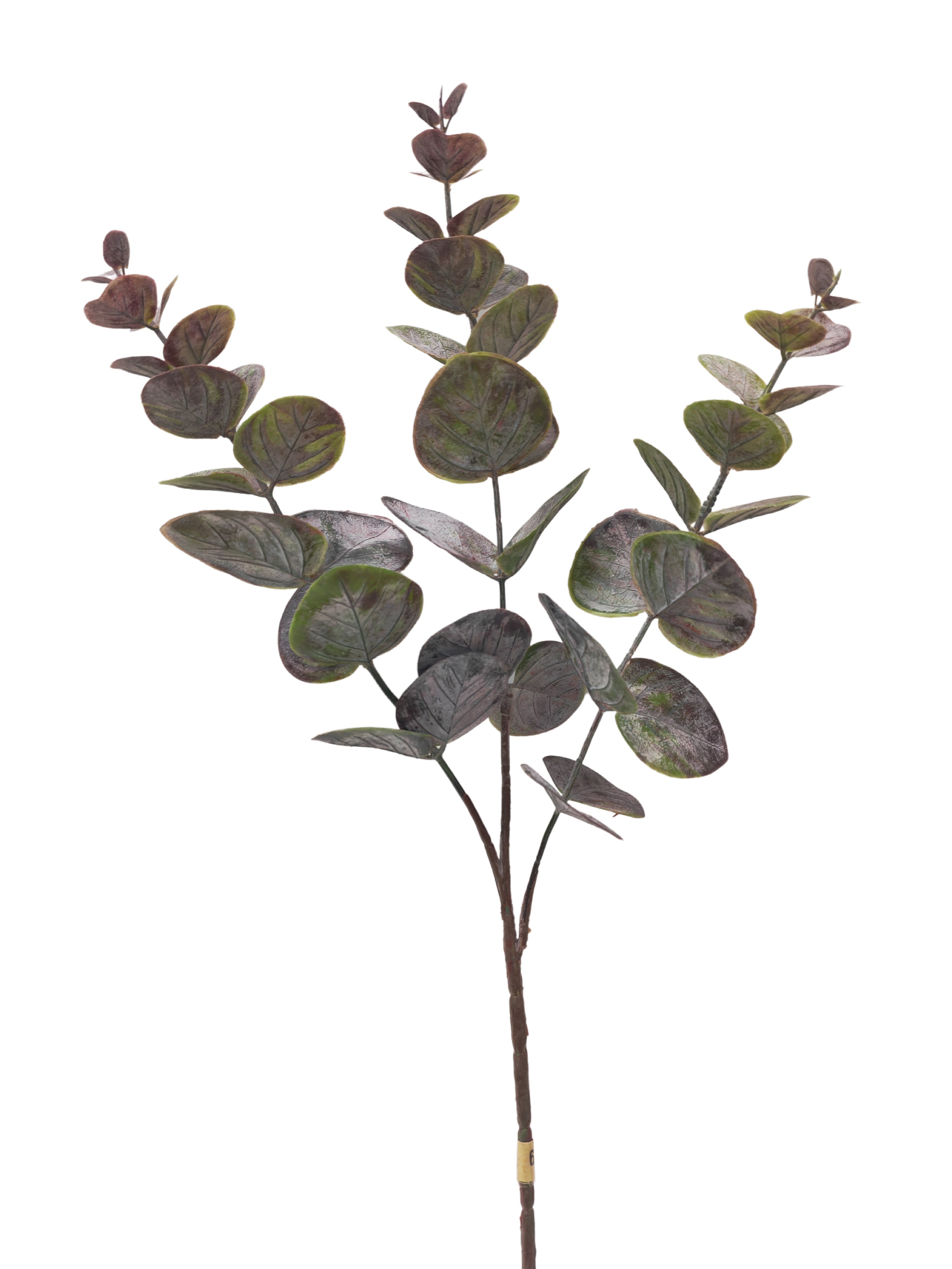 Flower Manufaktur Eukalyptus ca.45cm 9914-807 in grün, Blatt, Pflanze, Blume