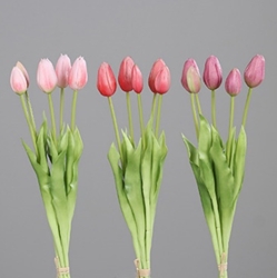 DPI Tulpen Bund in Farbe rosee-pink Kombination, Blume, Pflanze, Blütenblatt, Knospe, Tulpe