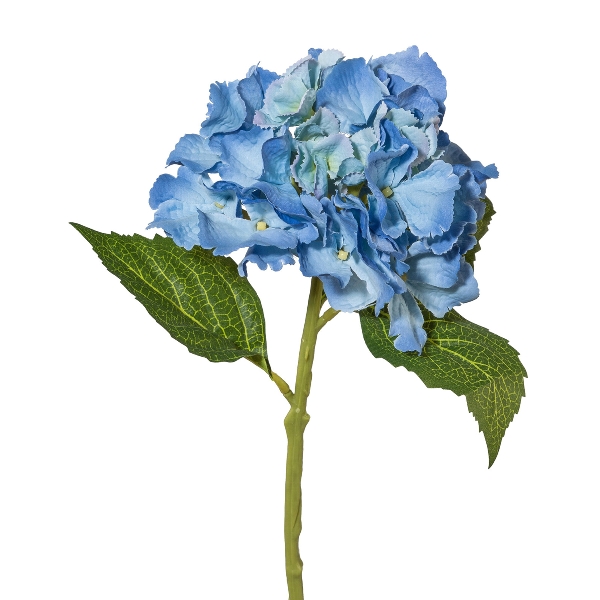 Gasper Minihortensie, 33 cm, blau in Farbe Blau, Blume, Hydrangea, Blau, Stiel, Blätter