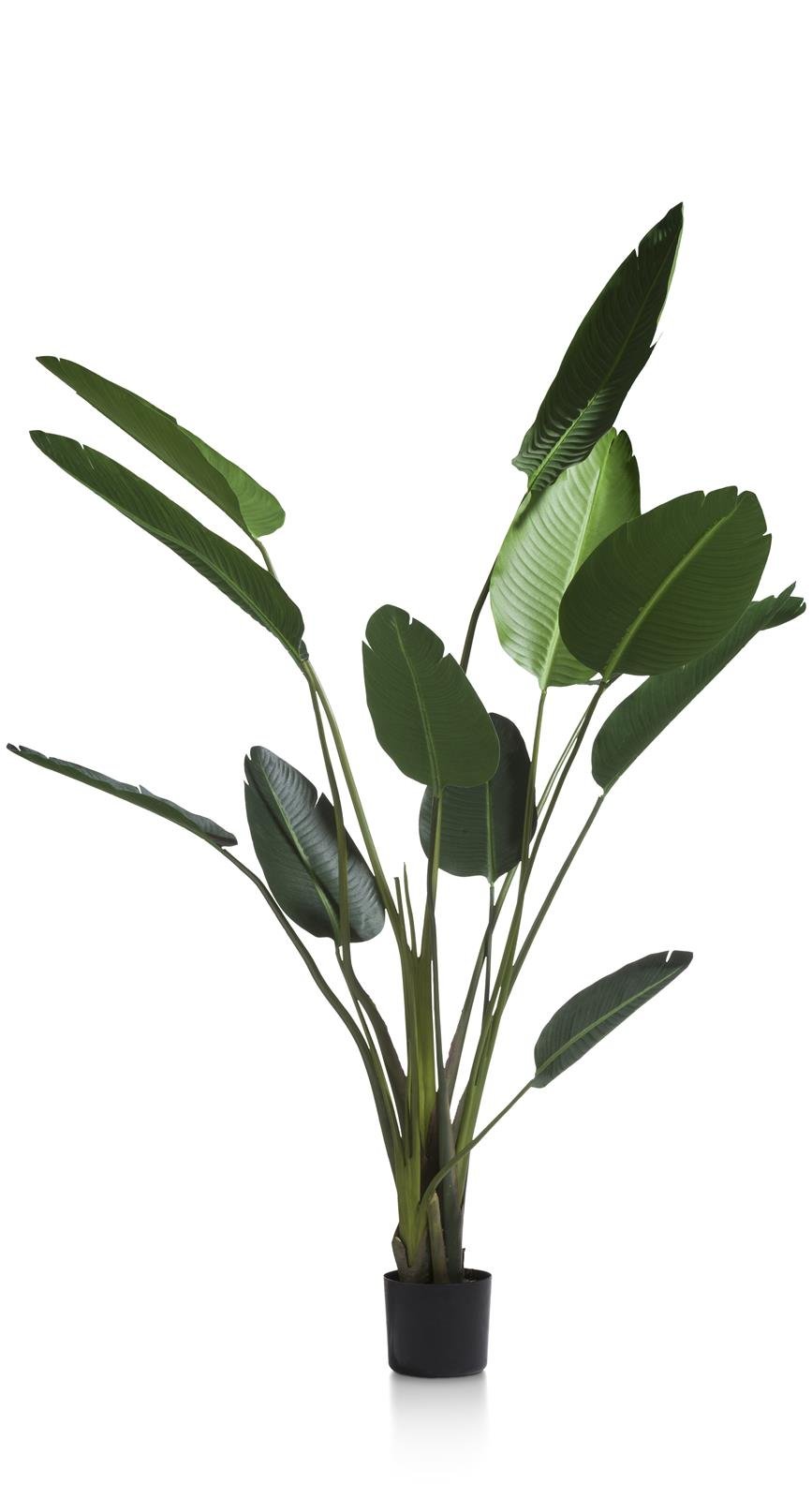 Coco Maison Kunstblume ca. H150 cm in Strelitzia Nicolai