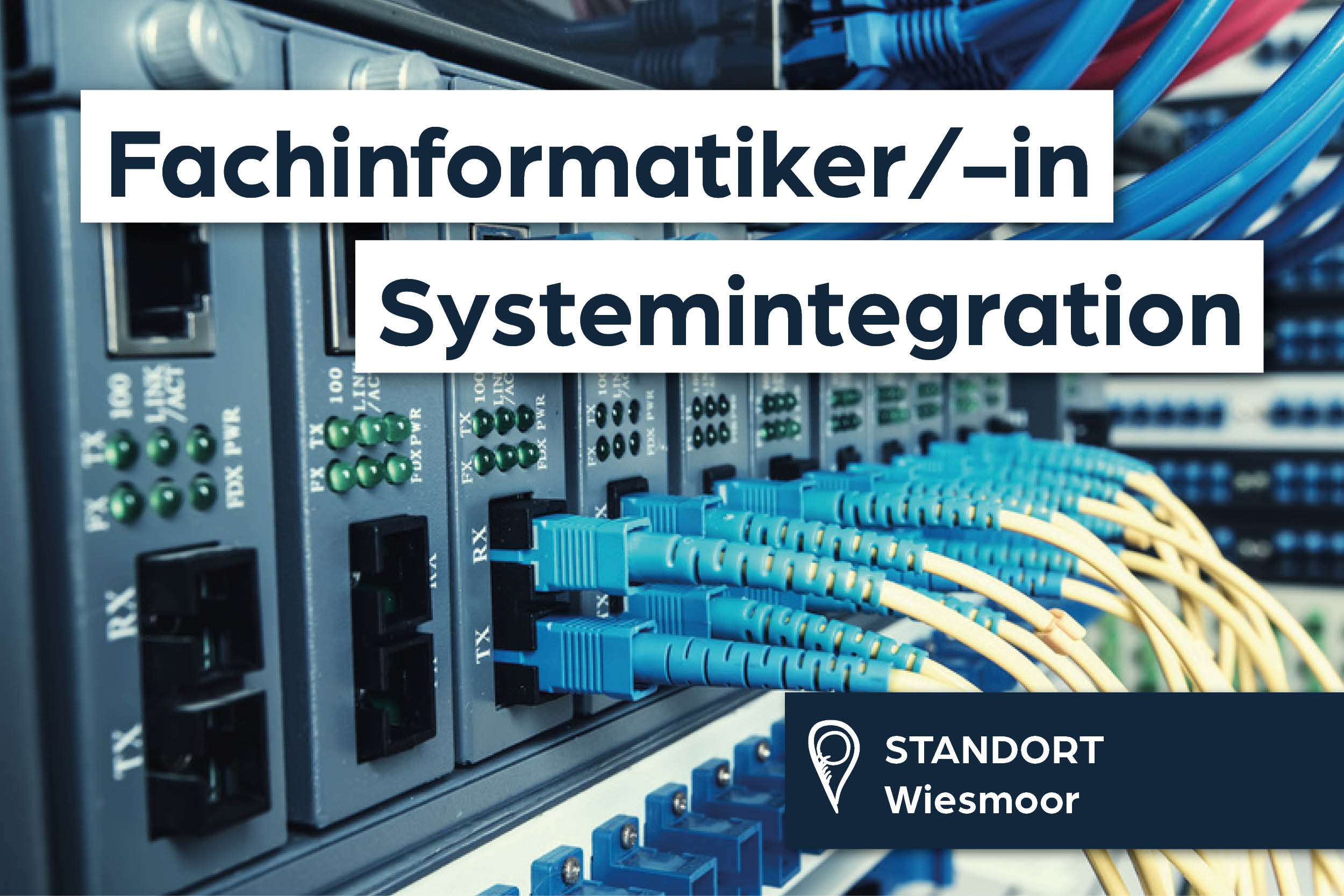 Serverracks, Netzwerk-Switch, Ethernet-Kabel, Rechenzentrum, Verkabelung