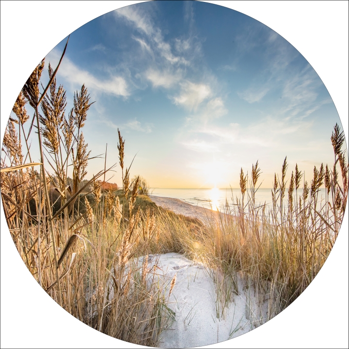 ProArt Alu-Art rund Ø 98cm Wilder Strand III ProArt Alu-Art rund Ø 98cm Wilder Strand III