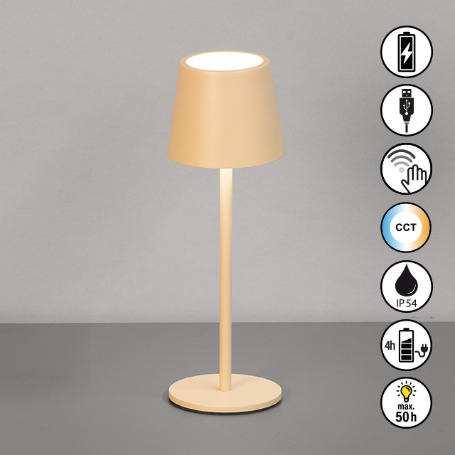 FH Lighting LED-Tischleuchte ROXI in Metall sandfbg.