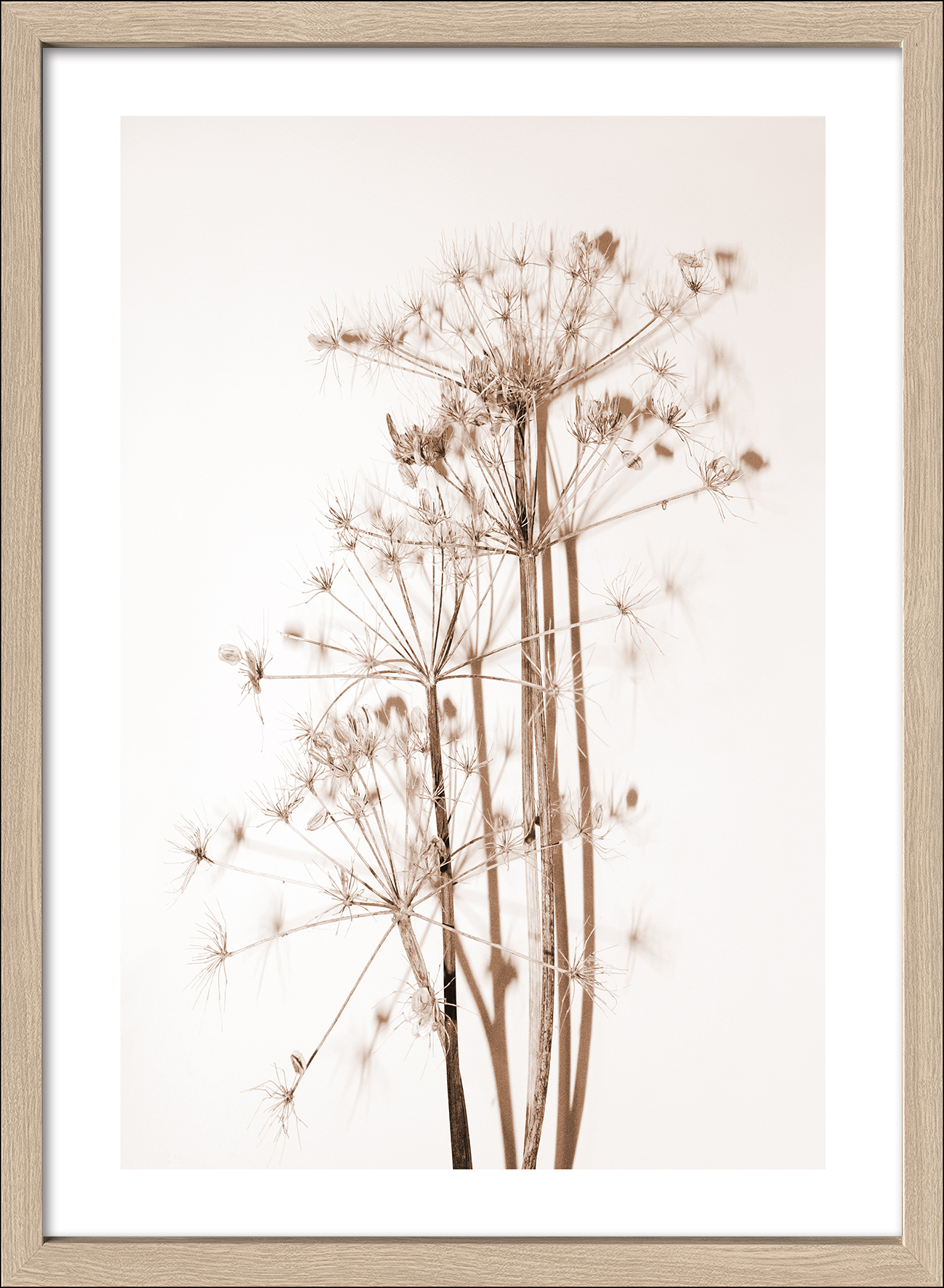 PRO ART Framed-Art Scandic Living 75x55cm Dried Fiber VI