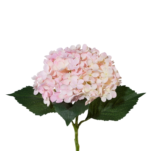 Hortensie 53cm rosa 3018227-10 in Rosa / Pink, Hydrangea, Blumen, Rosenholz, Gartenpflanze, Blätter