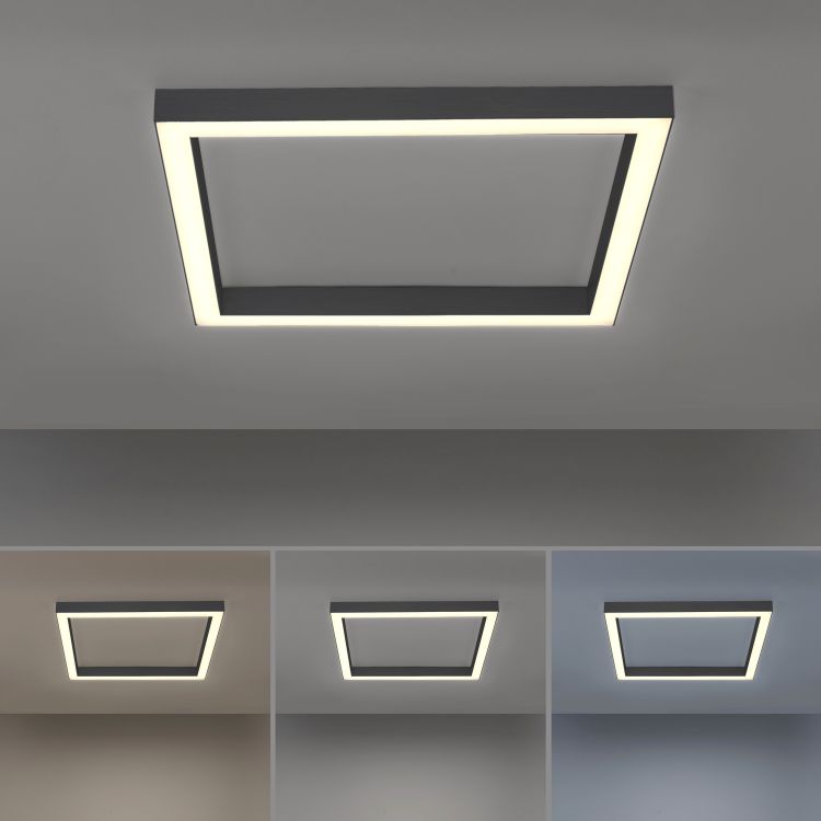 Paul Neuhaus LED-Deckenleuchte Pure-Lines in Anthrazit