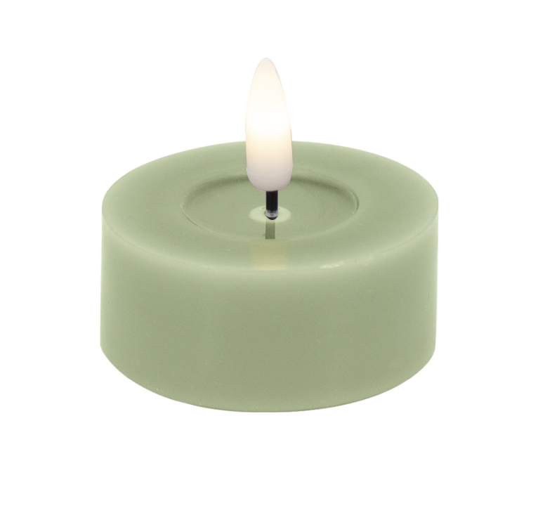 L.C. Wholesaler LED-Teelicht 2er-Set BASIC ca. Ø 4,5, H 2,5cm in green smooth, 4.5x2.5cm
