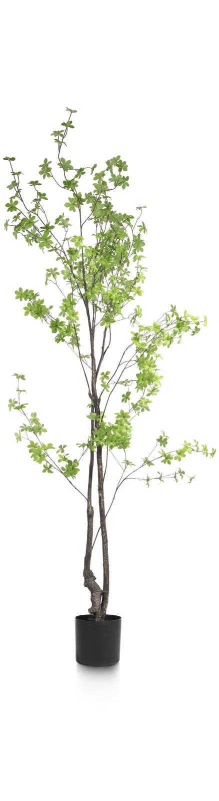 Coco Maison Kunstpflanze Tropaeolum 48281-GRN H210cm 