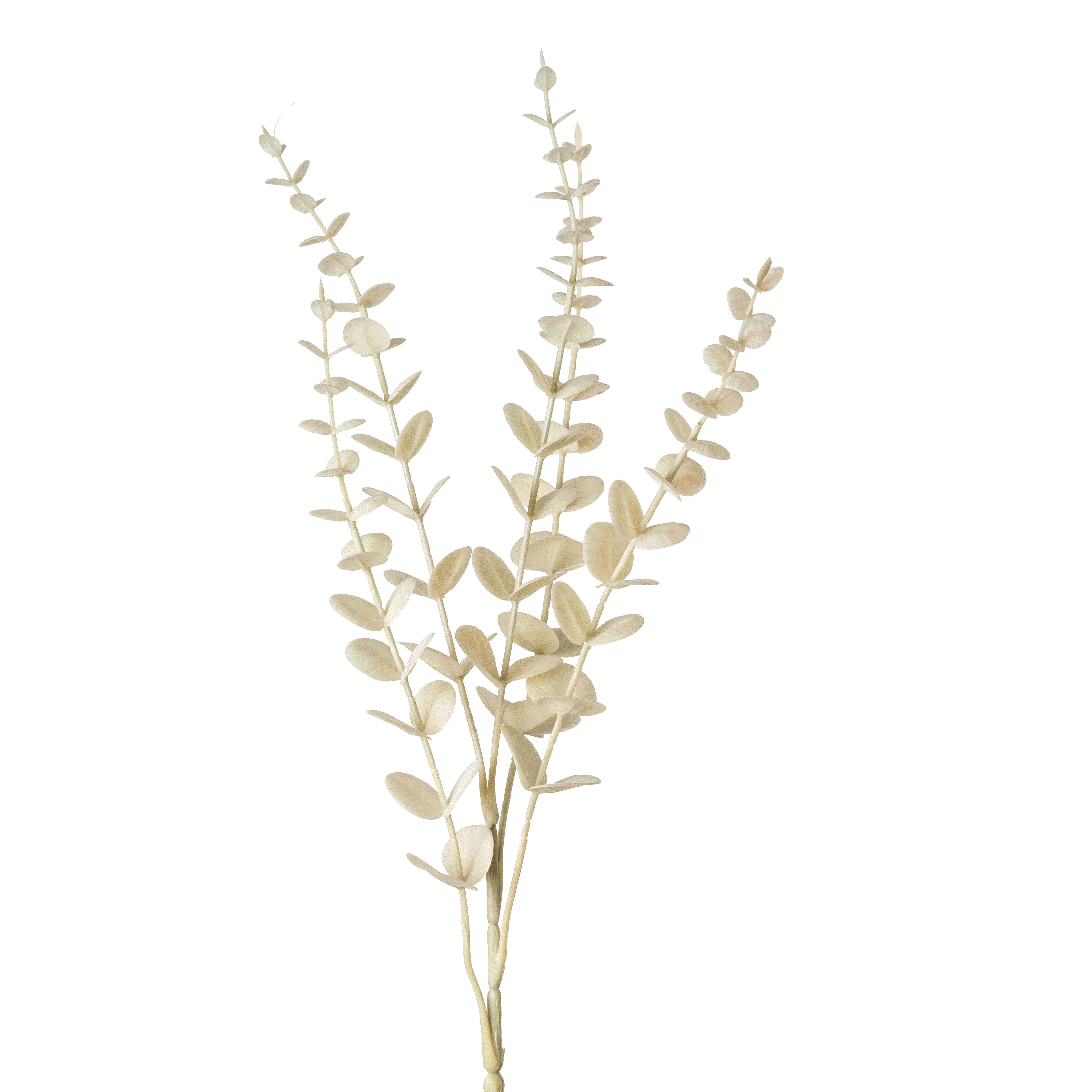 Flower Manufaktur Eukalyptuszweig 'MODERN' ca.74 9214-778 in creme, Pflanze, Gras, Blatt, Blume, Blumen-Arrangement