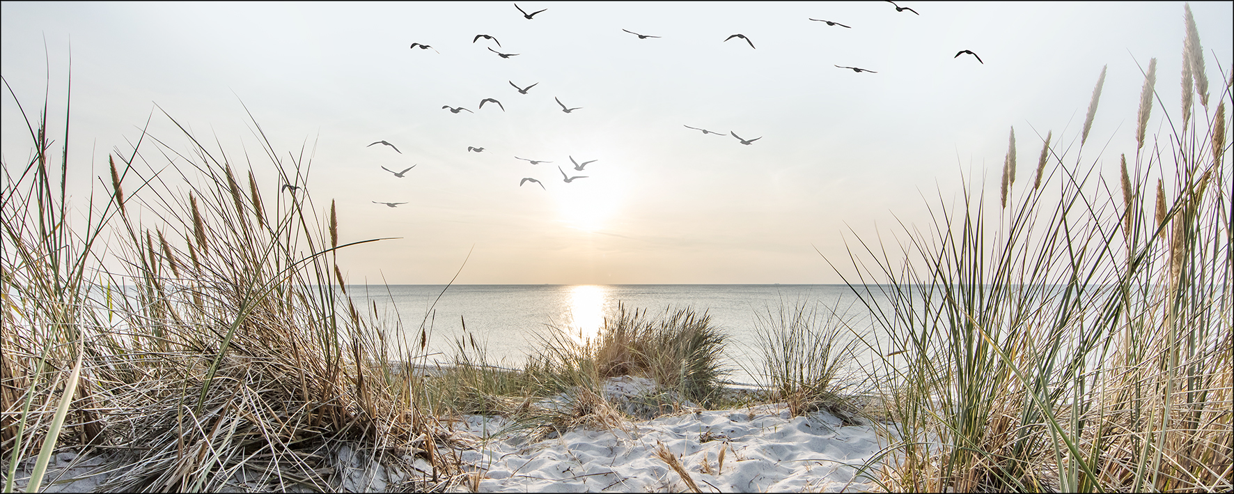 PRO ART Glas-Art 125x50cm Nordic Beach Atmosphere I