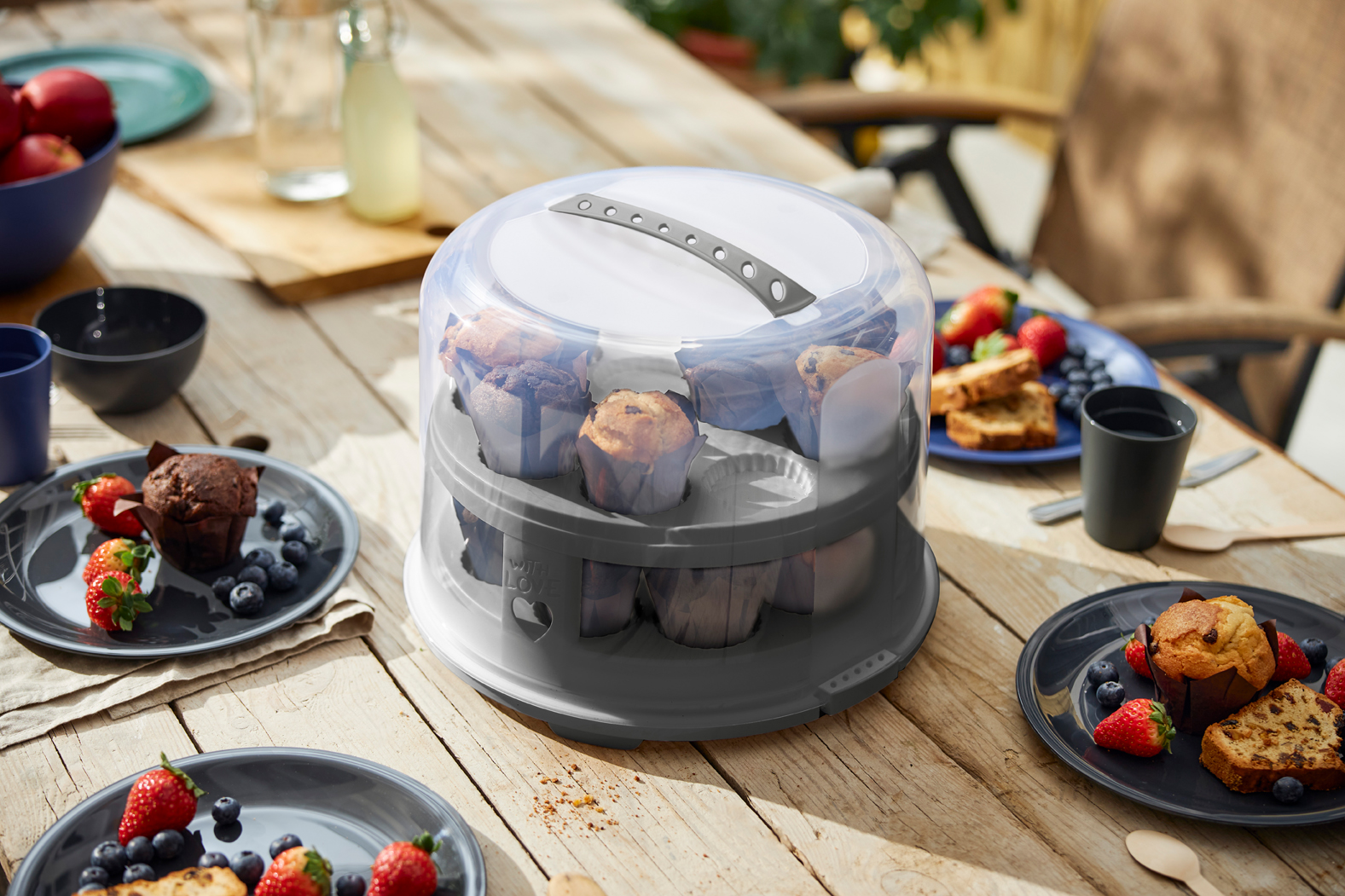 Rotho Tortenglocke FRESH in Farbe Holzkohle, schwarz, Brunch, Mahlzeit, Tasse, Kochgeschirr, Beere