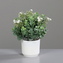 DPI Eukalyptus Arrangement in Farbe weiß, Krug, Pflanzgefäß, Topfpflanze, Töpferei, Vase