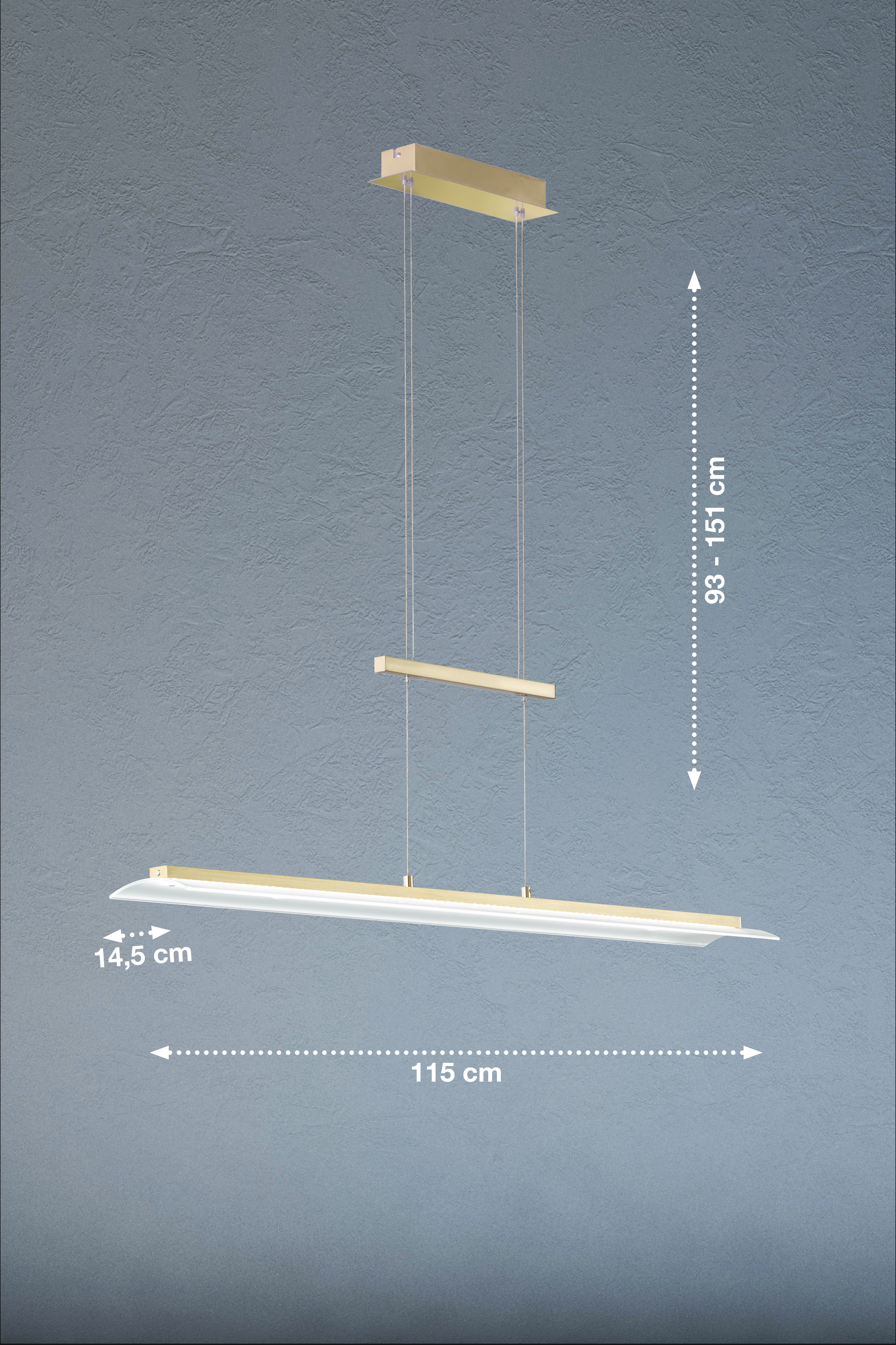 Fischer & Honsel LED-Pendelleuchte ROOF in Messing matt/Abdeckglas teilsatiniert Rand klar