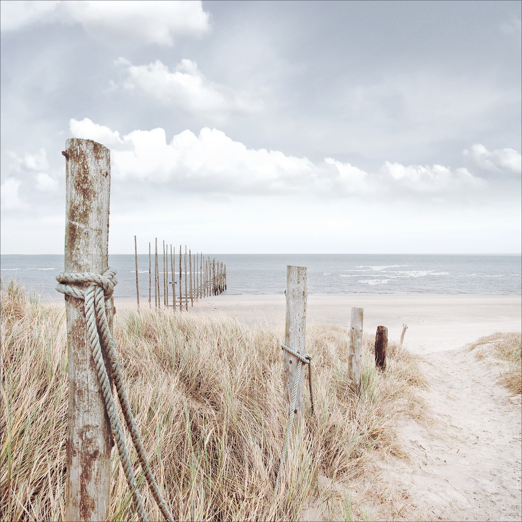 ProArt Glas-Art 30x30cm Oase der Sinne II