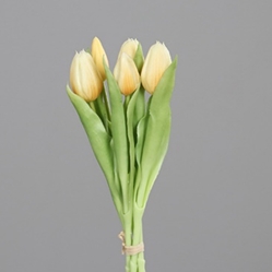 DPI Tulpen Bund in Farbe light yellow