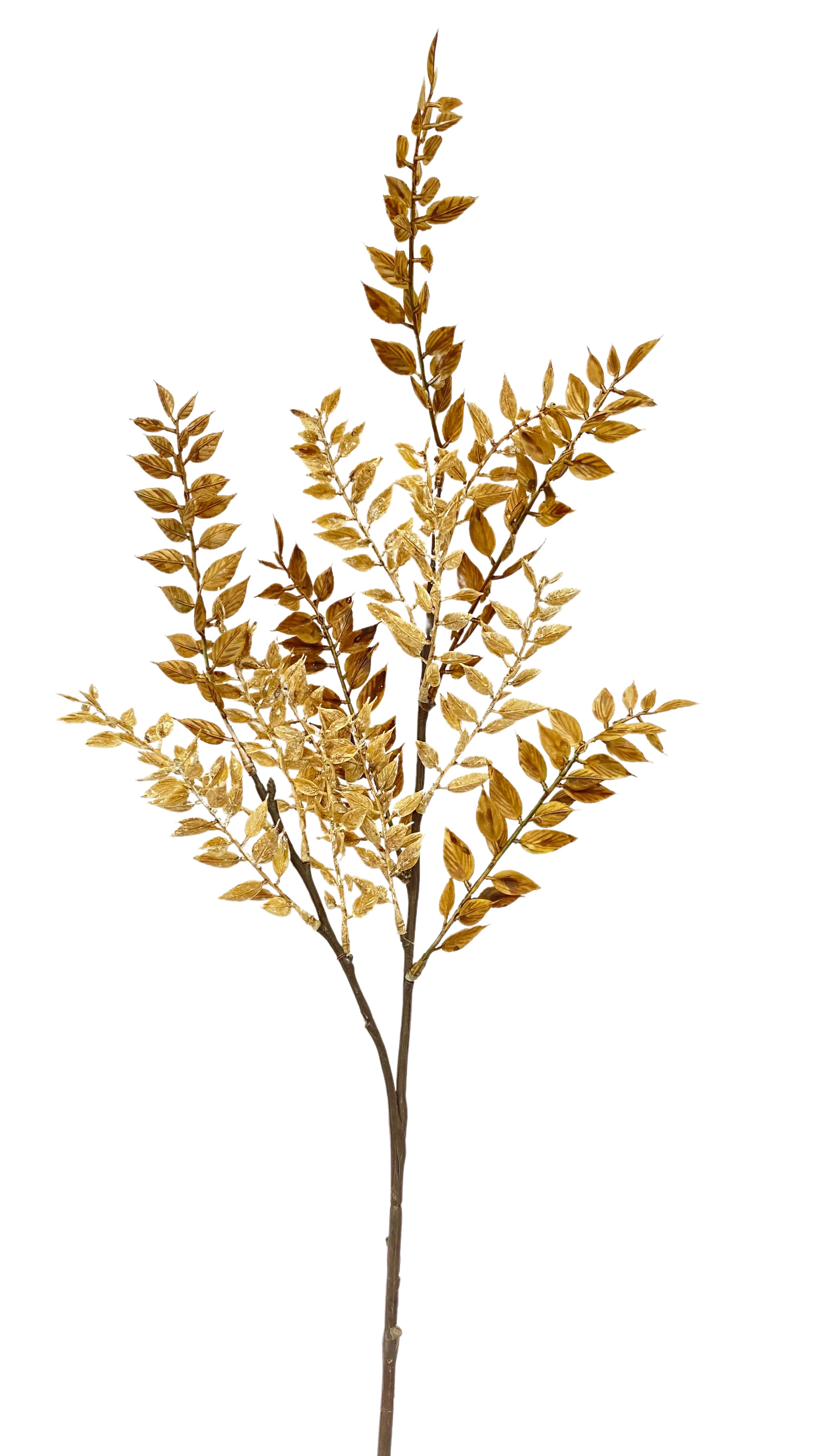 Flower Manufaktur Ruscus ca. 90cm in Farbe Nature
