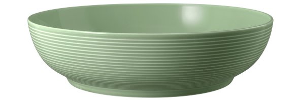 Seltmann Weiden Foodbowl 25 cm Beat 3 Salbeigrün Seltmann Weiden Foodbowl 25 cm Beat 3 Salbeigrün