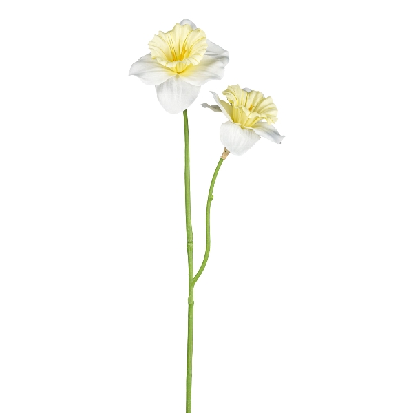 Gasper Narzisse x 2, 56 cm, creme in Farbe Creme, blume, narzisse, zweiteilig, stiel, gelb