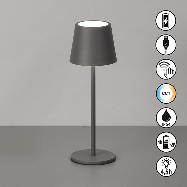 FH Lighting LED-Tischleuchte ROXI in Metall sandgrau