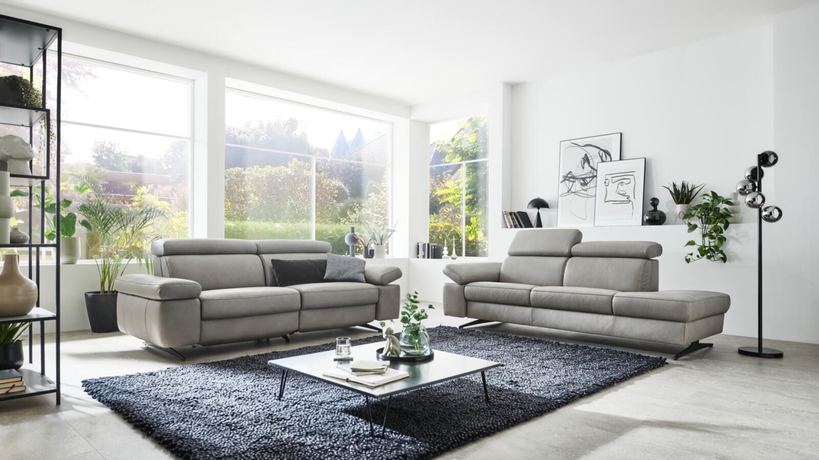 Himolla Sofa 2.5-sitzig 1183 366 E42, Sofa, Wohnzimmer, Grau, Ledersofa, Sofalandschaft