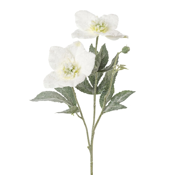 Christrosenzweig ca.56cm 3021924-44 in Weiß, Blume, Weiße Blüte, Blütenzweig, Grünblatt, Staude